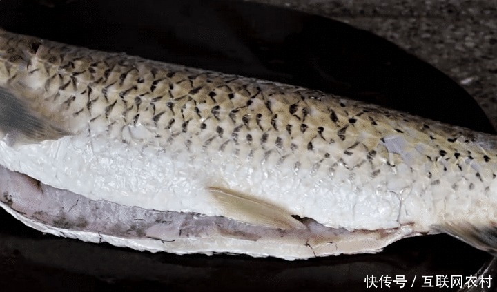 切成|秋天多给家人吃这肉,蛋白质含量极高,简单一焖,鲜嫩多汁又下饭