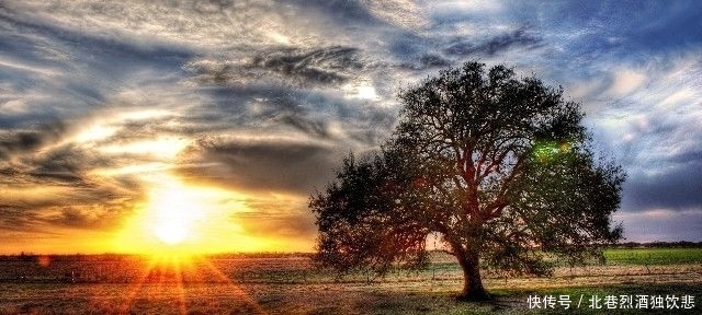 喜欢你|最优雅的人生哲理句子,短促而深情,不禁红眼