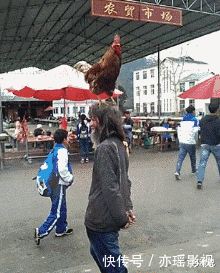 足球|让妹纸来告诉你什么才叫颠足球，哈哈哈哈