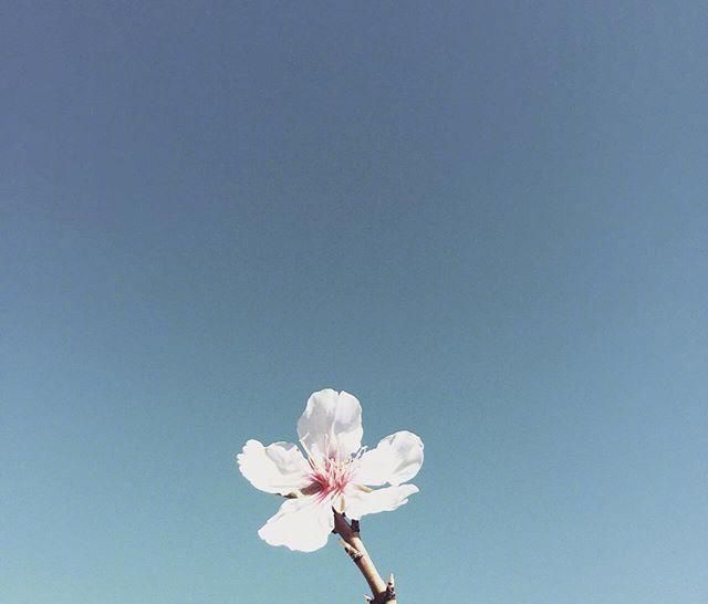  阳光|早安心语正能量阳光说说，开启元气满满的一天