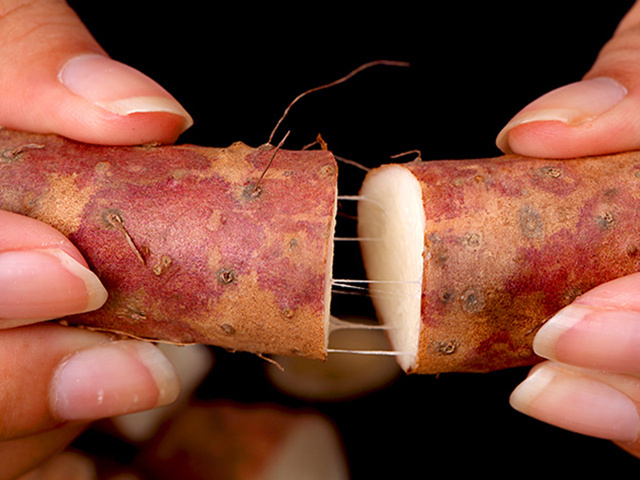 山药和普通|买山药时，“铁棍山药”和“普通山药”哪个好知道后别再瞎买了