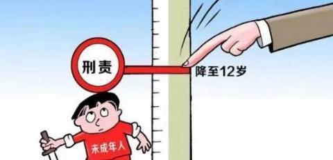 刑事责任|刑事责任年龄是否有必要降低？