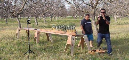  败下阵来|自动步枪甚至能打穿防弹衣，却在菠萝面前败下阵来