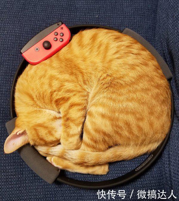 结局|刚进公司就当了副总,结局太心酸了