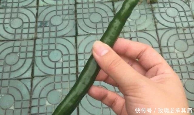  食物|南方人说: 北方的食物, 是世界上最大的骗子! ?