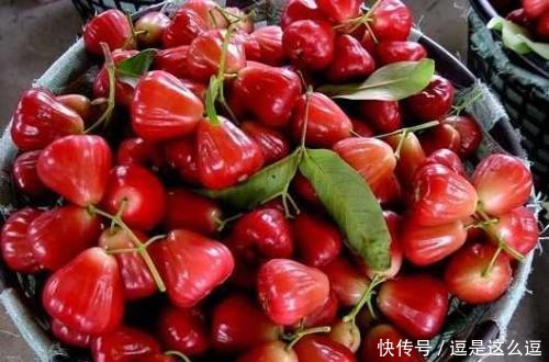 富贵|芒种前,不论贫穷或富贵,多吃这5种水果,顺应时节身体倍棒!