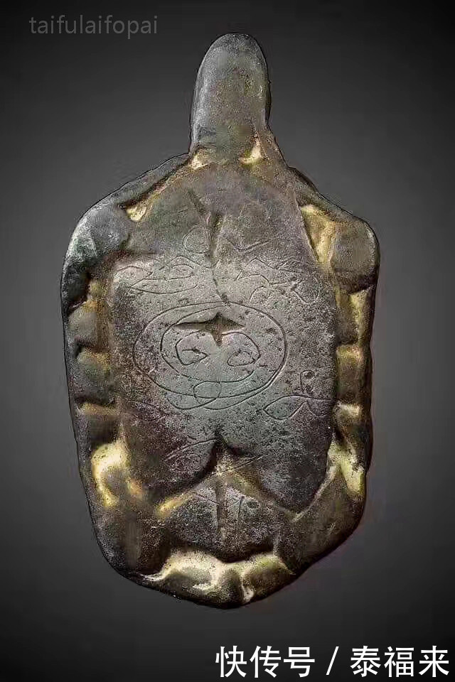  招财|【佛牌知识科普】龙婆蜀2460招财龟 神力之龟 帕亚道