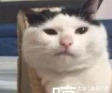 南方人|南方人说: 北方的食物, 是世界上最大的骗子! ?