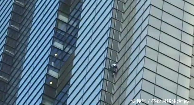 家里|蚊子最高可以飞到几层?专家给你“答案”,后悔家里买错楼层了