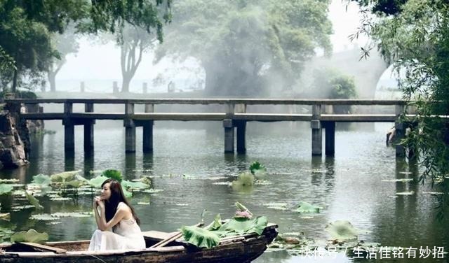 仙女|像江南小仙女一样鲜灵灵的水八仙,在秋天发出邀请函