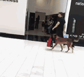 满满的|搞笑GIF：满满的都是套路