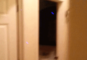 这一下|搞笑GIF：这一下，躲的真是漂亮啊，就是把队友坑了