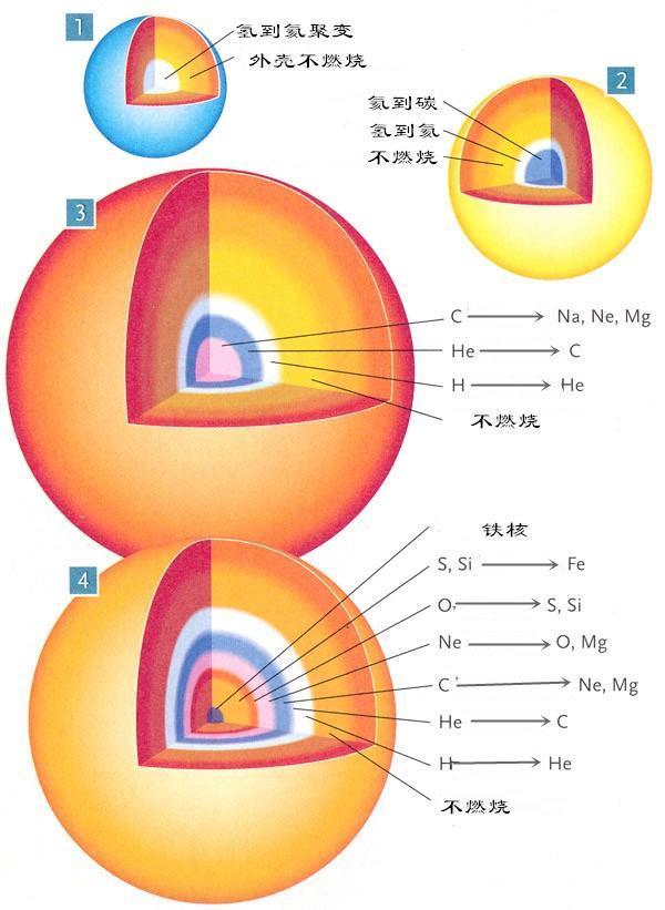  物质|铁元素为什么无法继续聚变那么比铁重的元素又是怎么来的