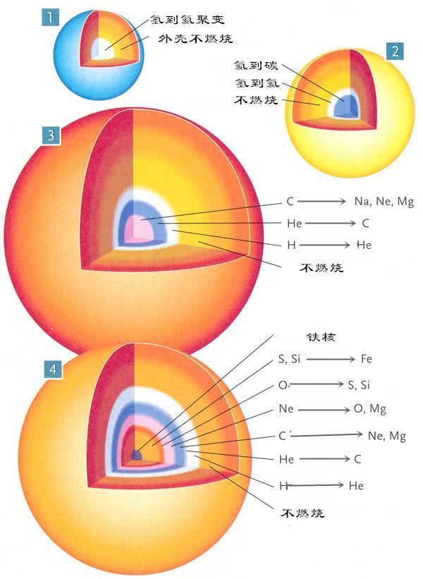 物质|铁元素为什么无法继续聚变那么比铁重的元素又是怎么来的