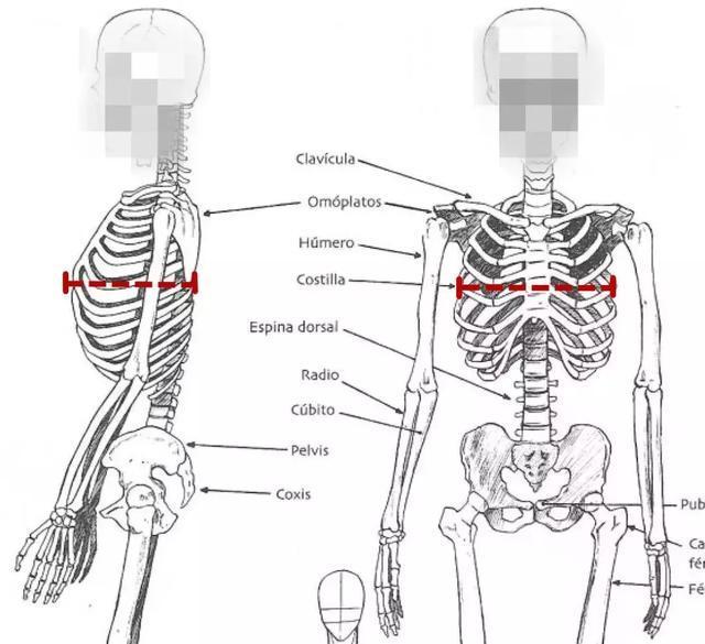 解决|小骨架圆身材怎么穿都不时髦不如看看这几条解决思路