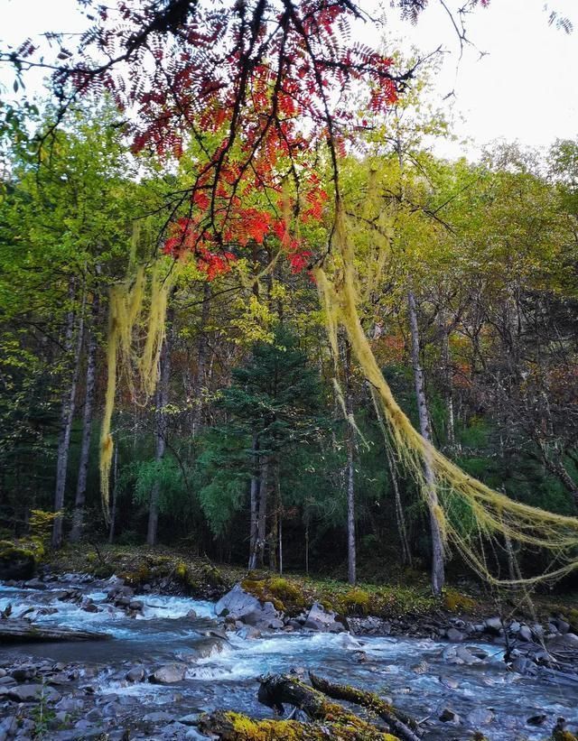 雨崩|近年大热的梅里北坡徒步,你可知它不止一条坡均小环线