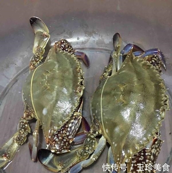  正确|梭子蟹到底要蒸多久？告诉你正确的蒸法，保证梭子蟹的味道最鲜美