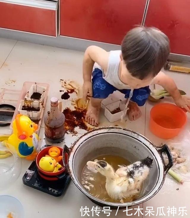 口水|熊孩子3天没吃肉,自己动手做“口水鸭”,鸭子:我当时害怕极了