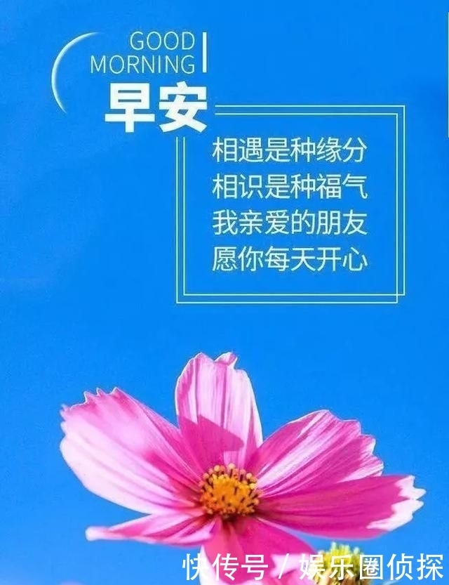  早安|无论与您的距离有多远，时时都有我真诚的问候，早安