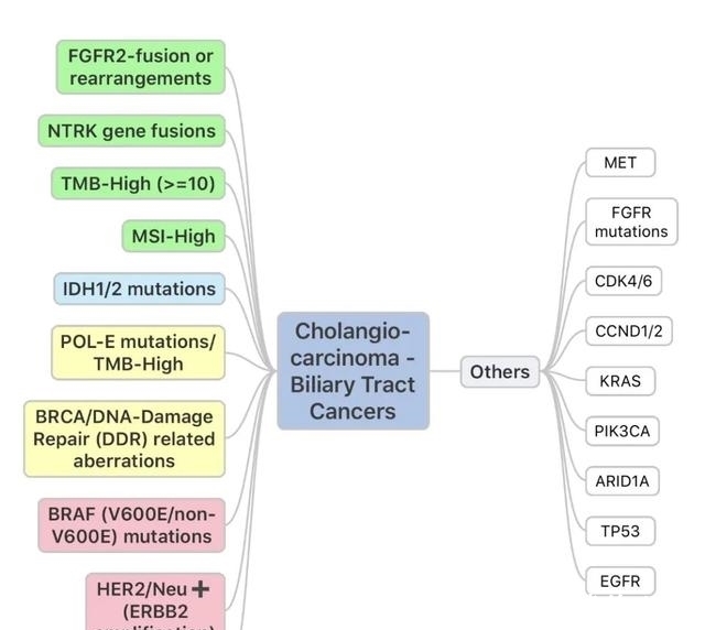 肿瘤|消化道肿瘤十大明星靶点强势来袭,靶向免疫新药新方案不断