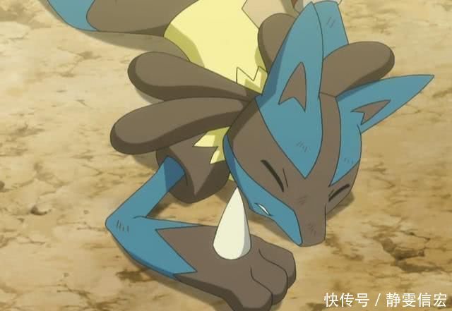  秒杀|宝可梦路卡VS耿鬼，小黄瓜配招无能为力，真就一发波导弹秒杀