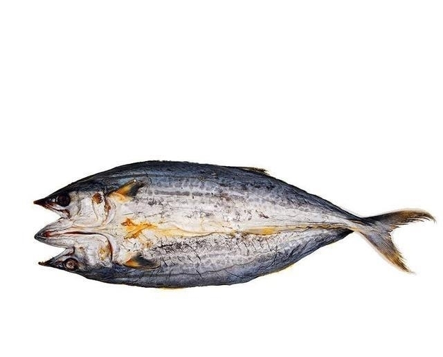 私盐|古代贩卖私盐犯法,那贩卖咸鱼呢?