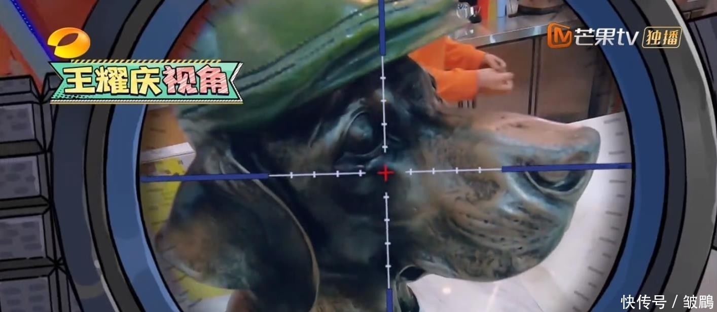 综艺|今年最好笑的综艺!胡军杨洋领着一群男人天南海北地玩捉迷藏