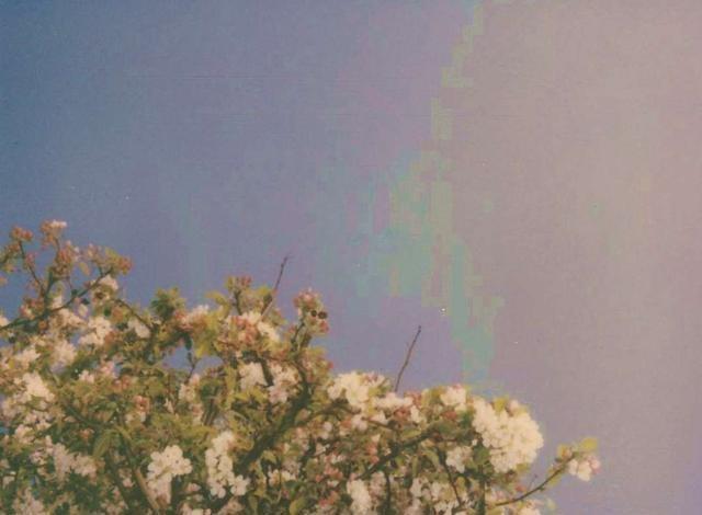  再见|“爱你那么久，到后也没舍得说再见”