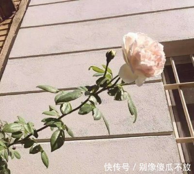 小廖|不可不防的几种人