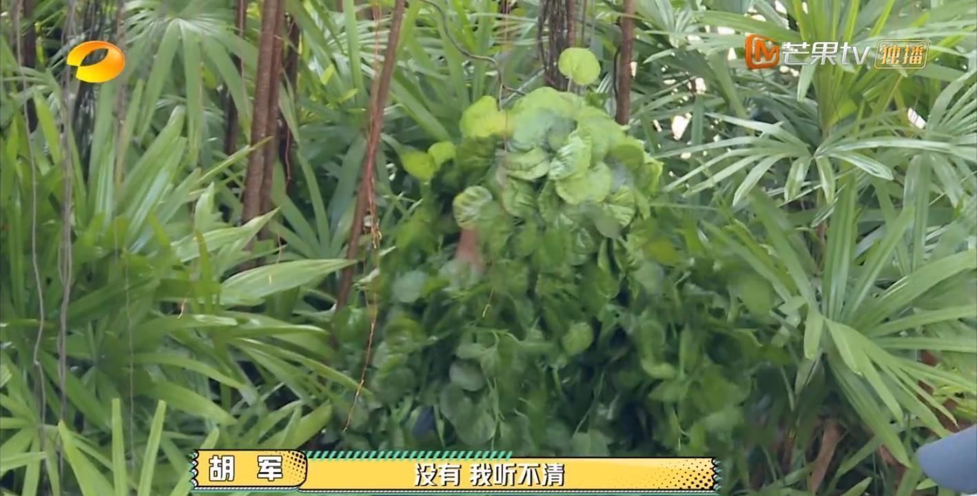  男人|今年最好笑的综艺！胡军杨洋领着一群男人天南海北地玩捉迷藏