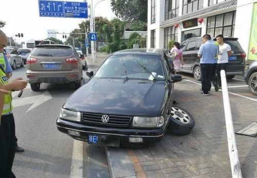 狗狗|男子的狗狗被人捉走,报警后驾车追凶,警察打开车后箱愤怒了