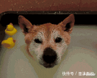 破车|“凭什么男人管20w的车叫破车，给女方20w的彩礼就喊天价？”