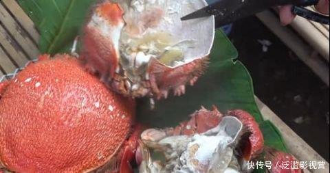 大妈|大妈花300块买了2只“老虎蟹”,一只3斤重,打开蟹壳后懵了