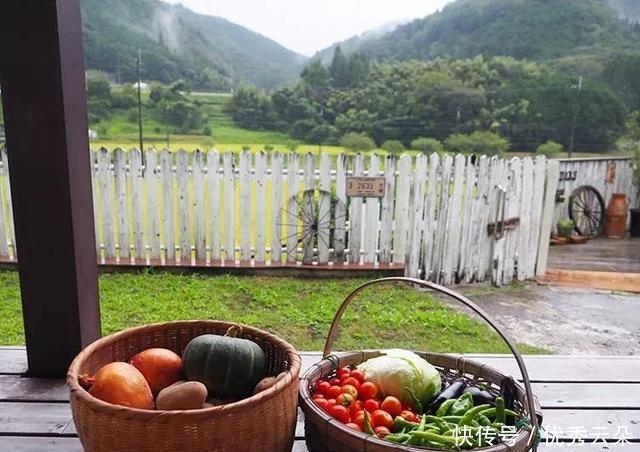 食物原本|日本人,都是如何把美食吃出高级感
