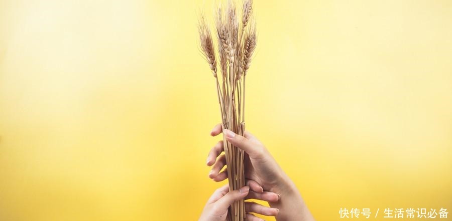 要做|「来艾百科」如果你害怕做一件事, 那么, 就去做