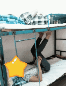  确认|搞笑GIF：确认过眼神，是想啄的人