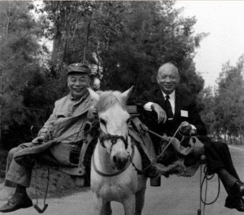  屁事|军官不识蒋经国！在饭馆闹事并说关你屁事，拿出一物品后直接怂了