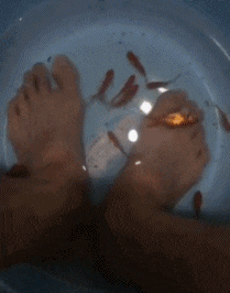 GIF|搞笑GIF：小家伙我还治不了你了