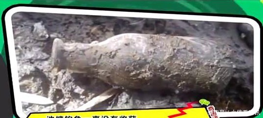  家门口|男子抽干家门口的池塘，准备捞鱼，结果发现惊人财富！