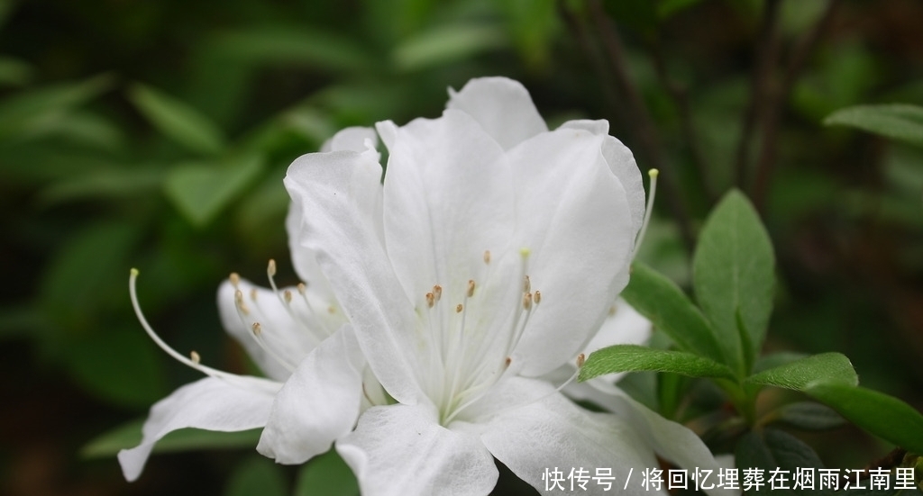  表里如一|十二星座外表和内心相差指数是多少？有人表里如一，有人深藏不露