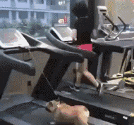 体验|搞笑GIF:小孩子,我想问问你此时蛋疼不疼呀?不亲自体验下哪里知道是啥快乐