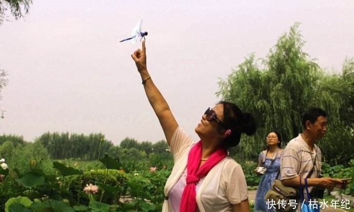 狗眼|趣味图片幽默段子:这也太炫富了吧,俺的钛合金狗眼都被亮瞎了