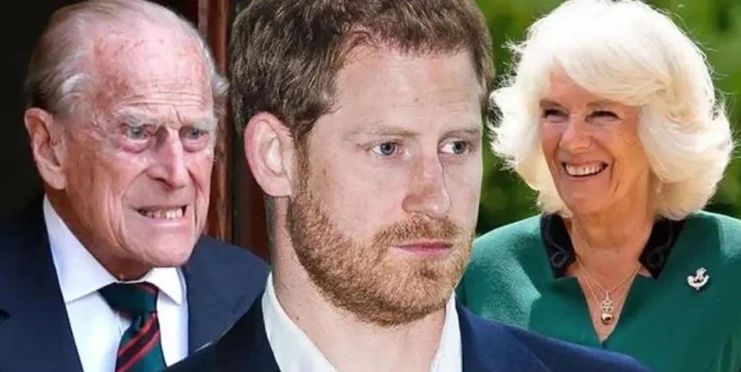 失望|99岁菲利普亲王忍痛割爱,将头衔让给儿媳妇卡米拉,对哈里失望了