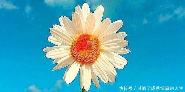  心语|朋友圈阳光励志心语，每一句都是满满的正能量