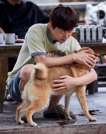  谢可寅|明星“错位图”有多搞笑谢可寅蔡徐坤接吻没啥，看到何老师笑出腹肌