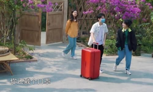 蘑菇|网红和艺人有何区别?薇娅来蘑菇屋,黄磊和何炅的接待已说明一切