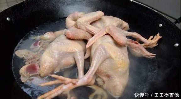 大火烧开|鸽子怎么炖最营养