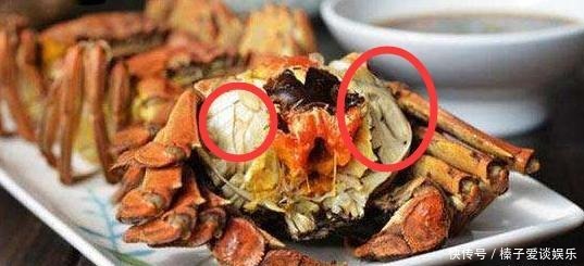 知识点|知识点!螃蟹有5个地方不能吃,很多人不懂,吃了就会闹肚子