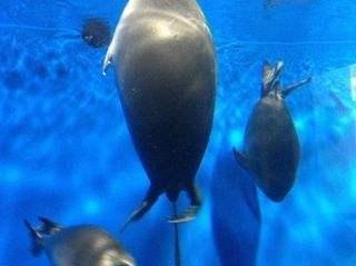 号称|贝加尔湖是最大的内陆湖,号称世界之井,它还有五个难解的谜团