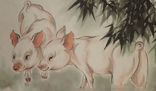  善于|大金猪脾气性格外向，他们都不善于隐藏自己的想法